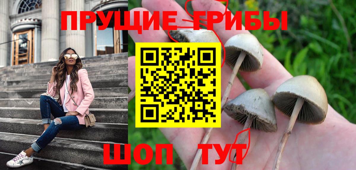 Галлюциногенные грибы Magic Shrooms  Галлюциногенные грибы Cubensis  Вход с VPN  Щёлково 