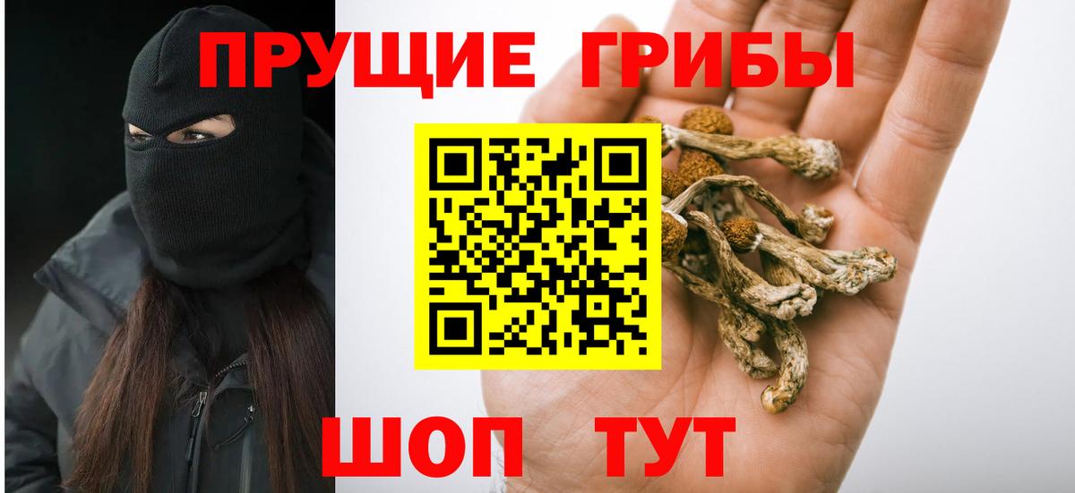 Галлюциногенные грибы Psilocybe Щёлково